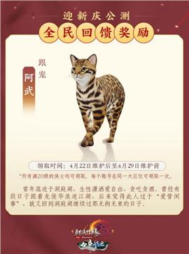 皇家天龙八部私服